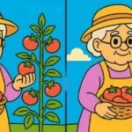 Test IQ: găsiți 3 diferențe în imaginile cu bătrâna în