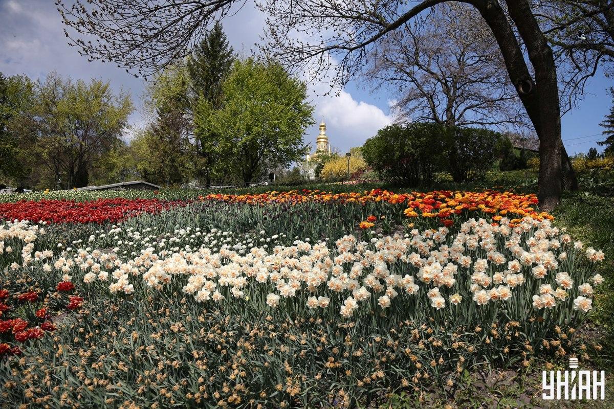 Găsiți pasărea în mai puțin de 10 secunde / colaj Moje