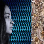 Trick puzzle: trebuie să găsești un cal printre reni în 9 secunde Trick puzzle: trebuie să găsești un cal printre reni în