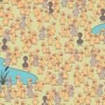 Un puzzle pentru distracție și inventivitate: trebuie să găsești un