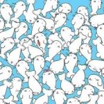 Un puzzle pentru nevăzători: găsiți bezelele printre foci în 11 secunde Un puzzle pentru nevăzători: găsiți bezelele printre foci în 11
