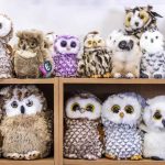 Unde este adevărata bufniță: numai persoanele cu „vederea de vânător”