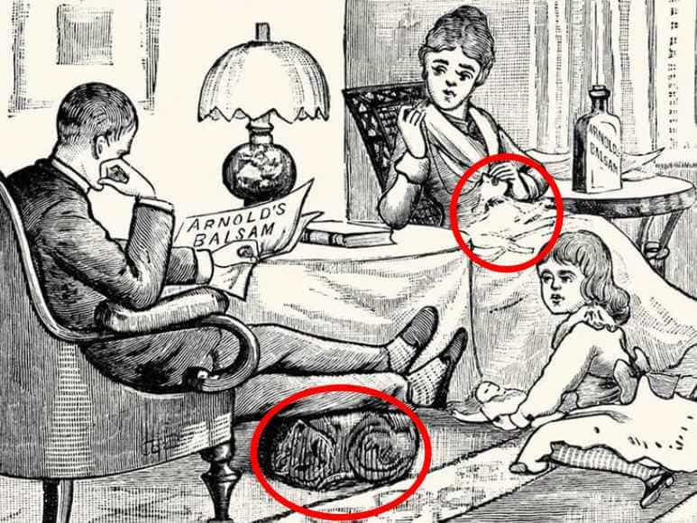 Iluzie optică pentru cei mai atenți: trebuie să găsiți două pisici în 7 secunde