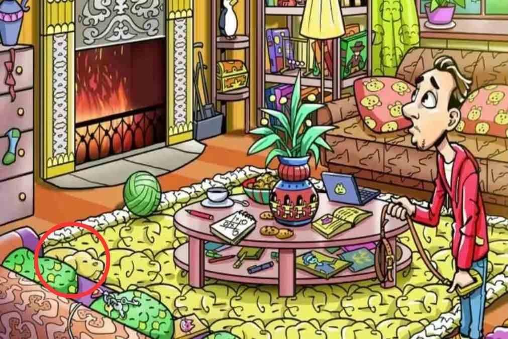 Răspuns / jagranjosh.com