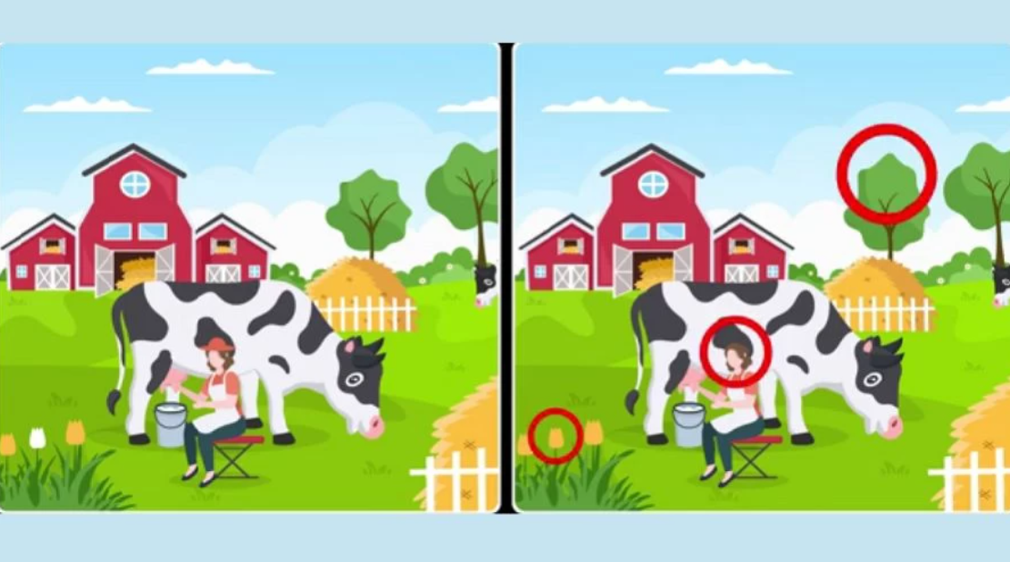 Fresherslive fotografie