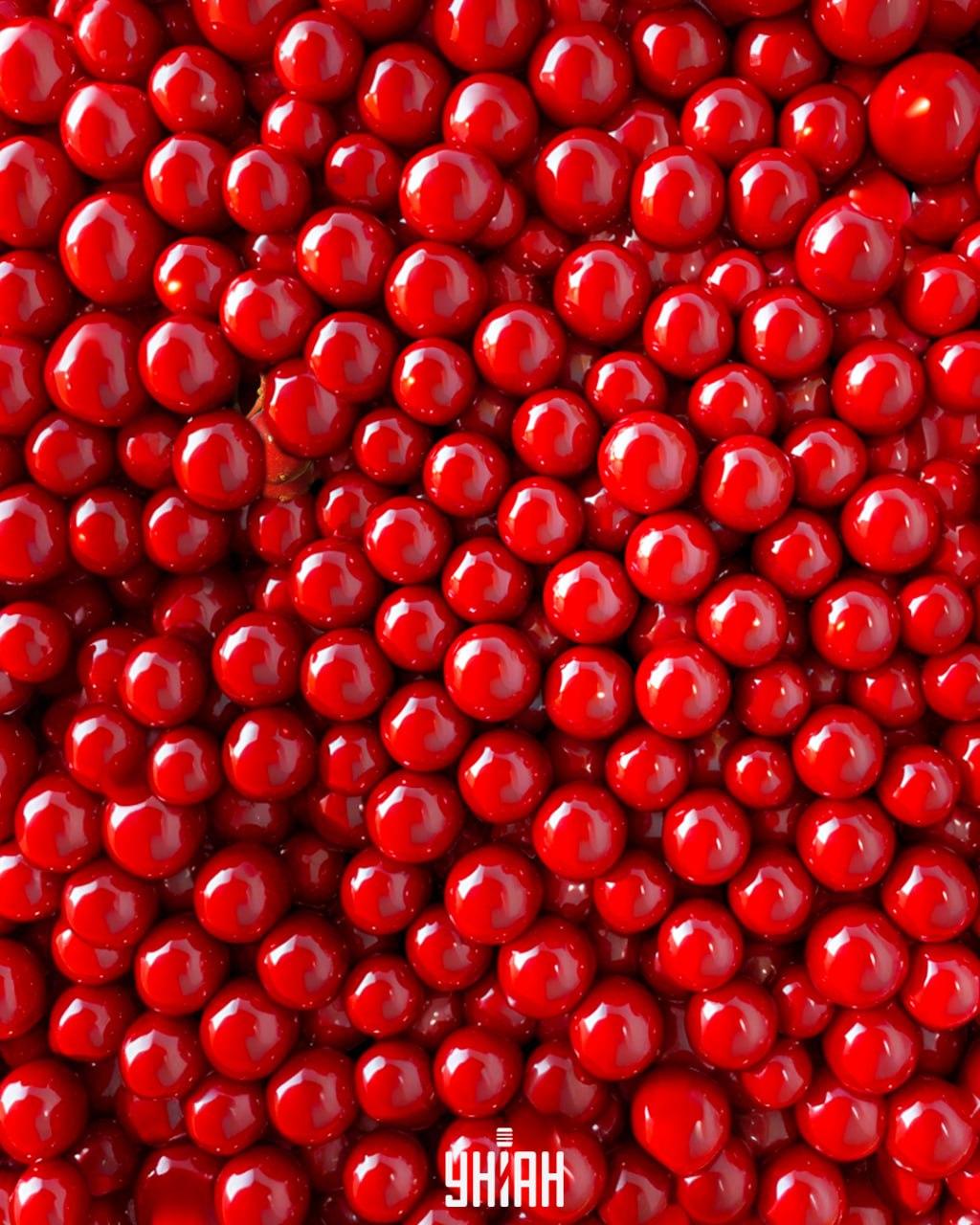 Printre mărgelele roșii există fructe de pădure de Kalina, iar acestea trebuie găsite rapid / colaj Moje Printre mărgelele roșii există fructe de Kalina, iar acestea trebuie găsite rapid / colaj Moje