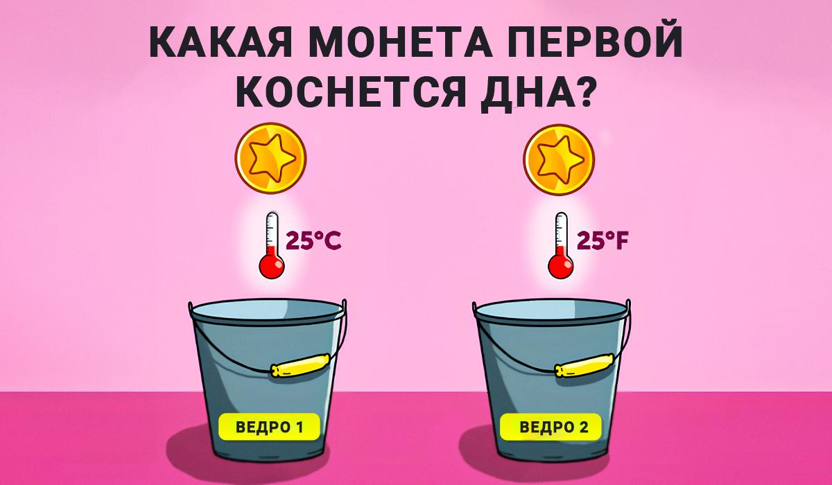 Test pentru inteligență și cunoștințe de fizică / colaj Moje