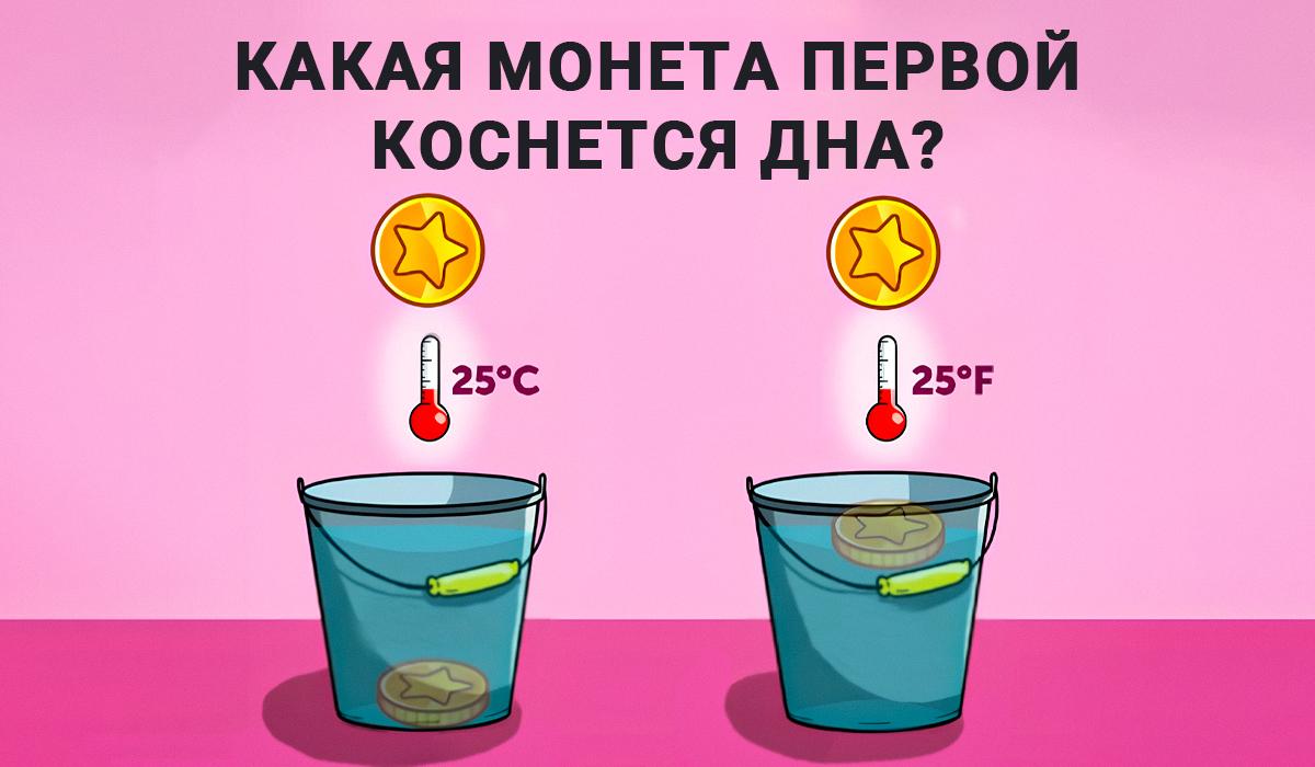 Răspuns la testul IQ / colaj Moje