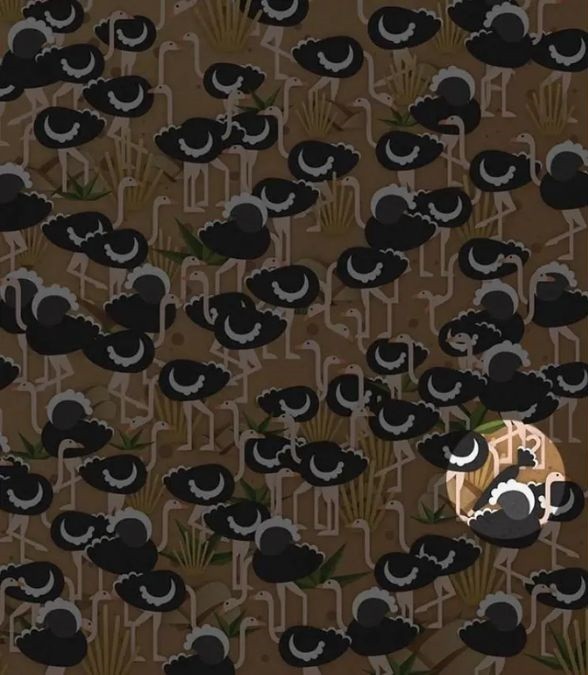 Un puzzle distractiv pentru persoanele cu IQ ridicat: doar câțiva vor găsi umbrela