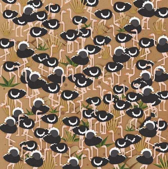 Un puzzle distractiv pentru persoanele cu IQ ridicat: doar câțiva vor găsi umbrela