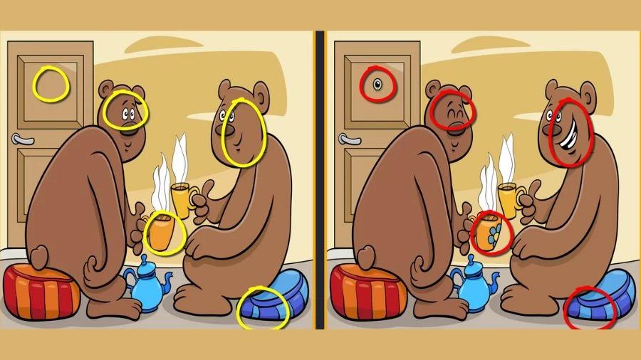 Soluție / Fresherslive