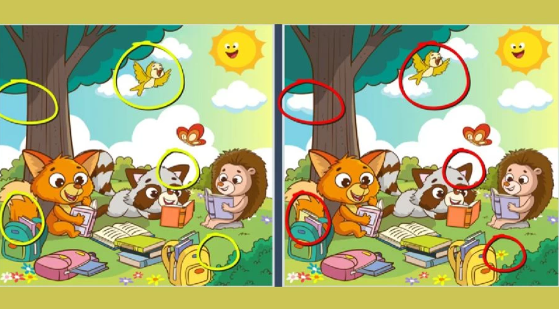 Fresherslive fotografie