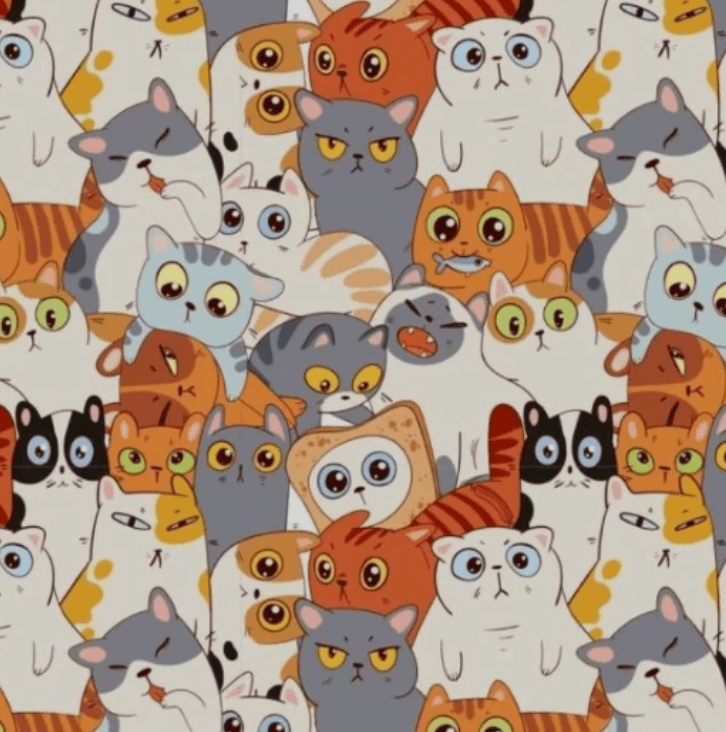 Fotografie Bright Side