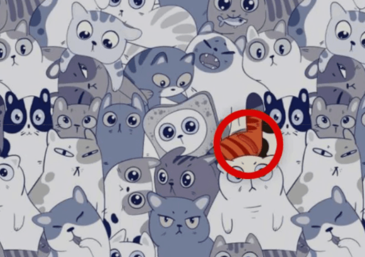 Fotografie Bright Side