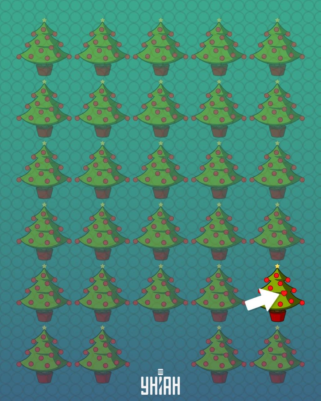 Răspuns / Foto Moje