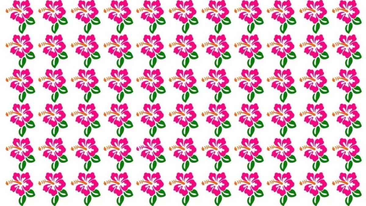 Găsește hibiscusul neobișnuit din imagine / foto de Fresherslive