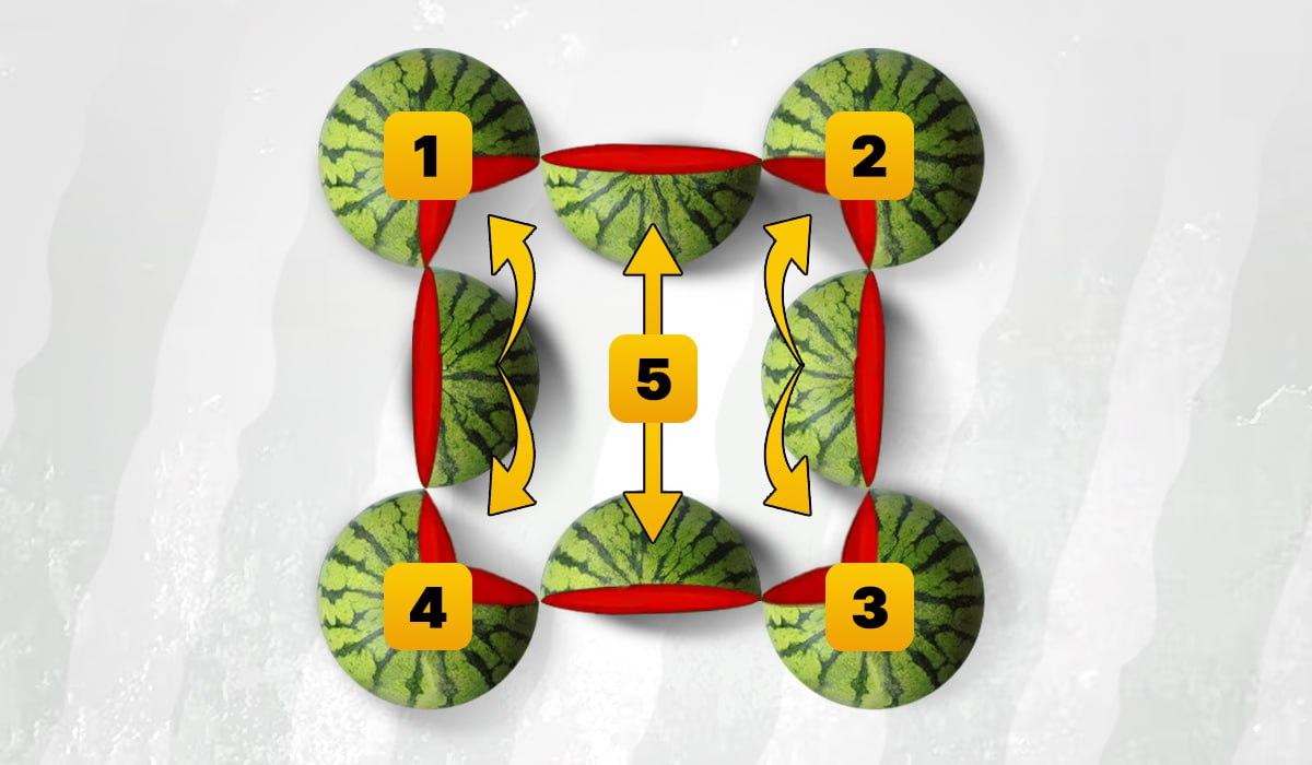 În imagine apar 5 pepeni verzi / ilustrație Moje