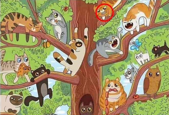 fotografie de Jagranjosh