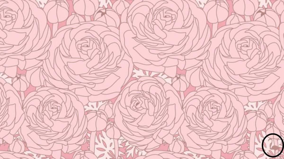 Puzzle nebun pentru genii: trebuie să găsiți un flamingo printre flori în 7 secunde.