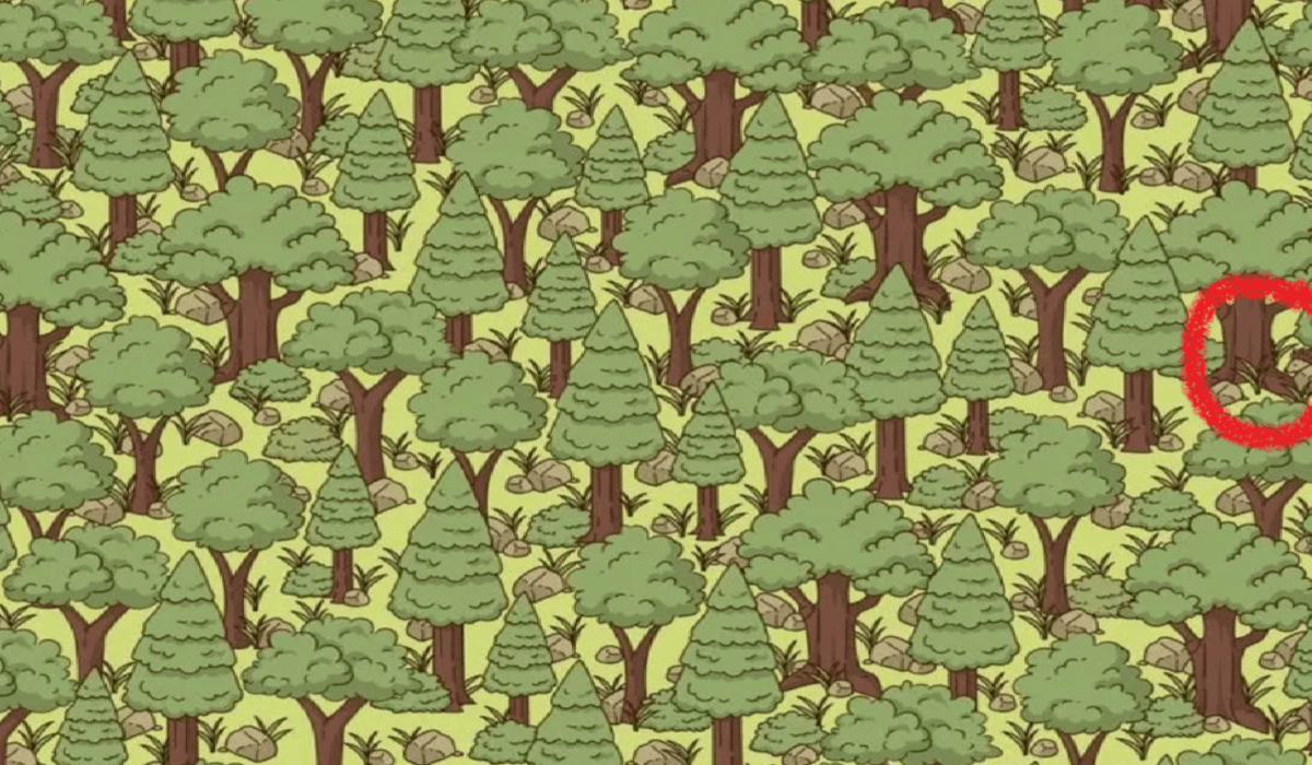 fotografie de Jagran Josh