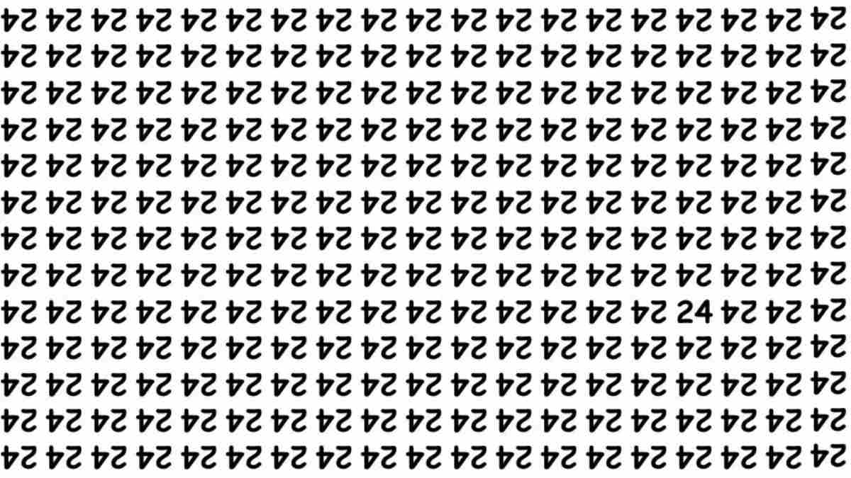 Puzzle uluitor: doar persoanele cu IQ ridicat pot găsi numărul 24