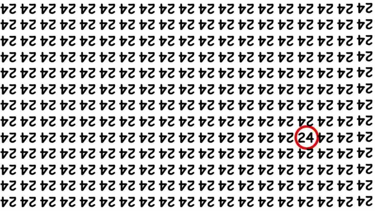 Puzzle năucitor: doar persoanele cu IQ ridicat pot găsi numărul 24
