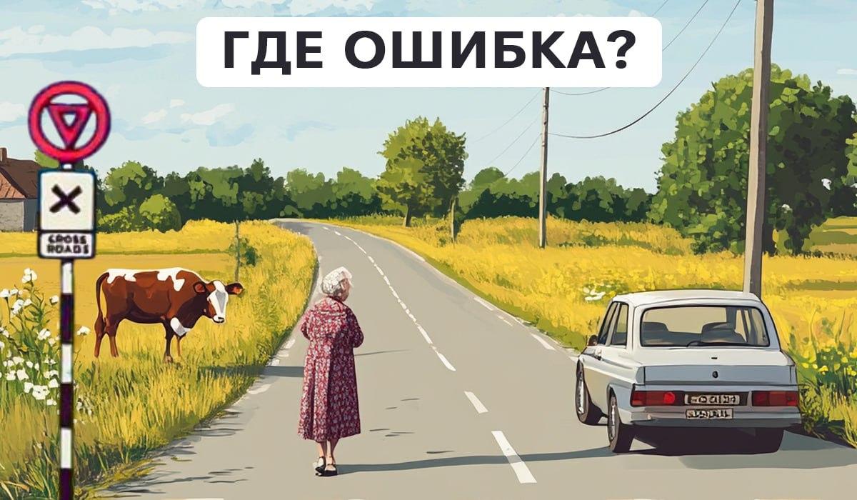 Test de atenție / colaj Moje