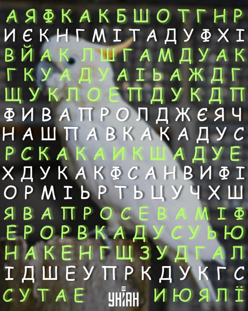 Moje colaj Colaj Moje