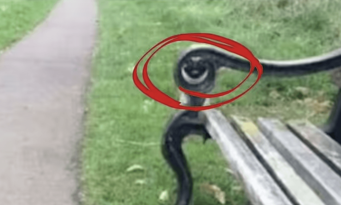 Iată unde este ascuns câinele / foto de TikTok/edaiibuggout1