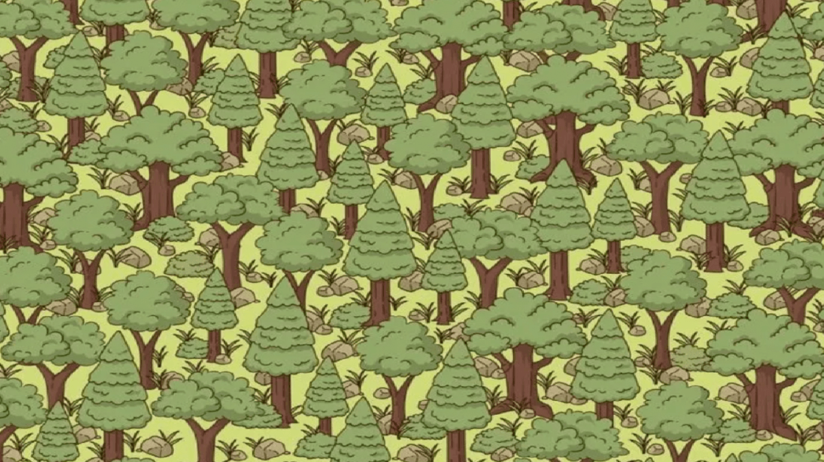 fotografie de Jagran Josh