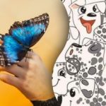 Doar câțiva o pot face: doar geniile pot găsi un fluture printre câini în 6 secunde. Doar câțiva o pot face: doar geniile pot găsi un