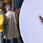 O întrebare simplă de matematică a uimit adulții: nu toată lumea o va rezolva O întrebare simplă de matematică a uimit adulții: nu toată