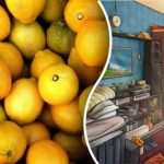 Trebuie să găsiți o lămâie în 8 secunde: un puzzle