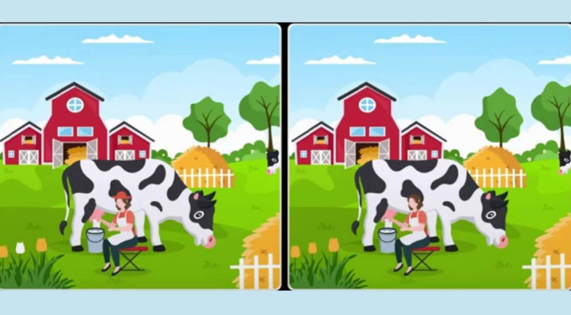 Fresherslive fotografie