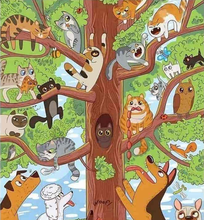 fotografie de Jagranjosh