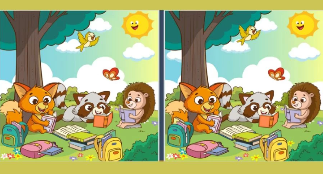 Un puzzle interesant pentru cei cu vederea ascuțită: testează-te în 22 de secunde