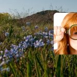 Un puzzle magic pentru cei atenți: trebuie să descoperiți secretul pajiștii de hiacint Un puzzle magic pentru cei atenți: trebuie să descoperiți secretul